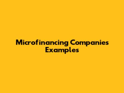 Microfinancing Companies Examples