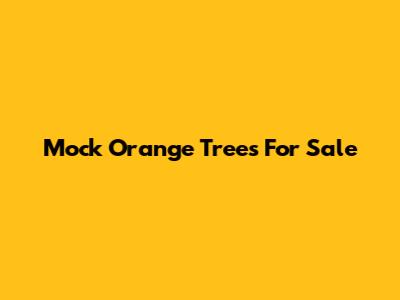 Mock Orange Trees For Sale