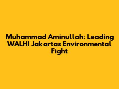 Muhammad Aminullah: Leading WALHI Jakarta's Environmental Fight