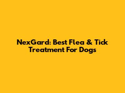 NexGard: Best Flea & Tick Treatment For Dogs