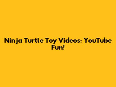 Ninja Turtle Toy Videos: YouTube Fun!