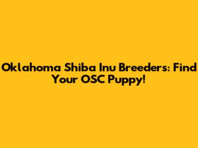 Oklahoma Shiba Inu Breeders: Find Your OSC Puppy!