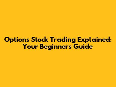 Options Stock Trading Explained: Your Beginner's Guide