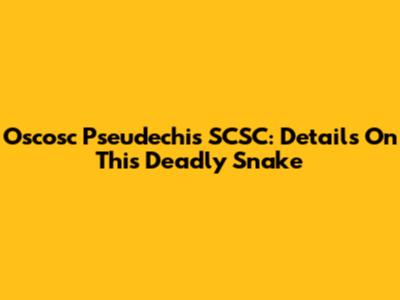 Oscosc Pseudechis SCSC: Details On This Deadly Snake