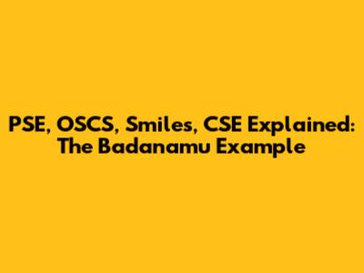 PSE, OSCS, Smiles, CSE Explained: The Badanamu Example