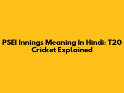PSEI Innings Meaning In Hindi: T20 Cricket Explained
