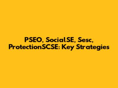 PSEO, SocialSE, Sesc, ProtectionSCSE: Key Strategies
