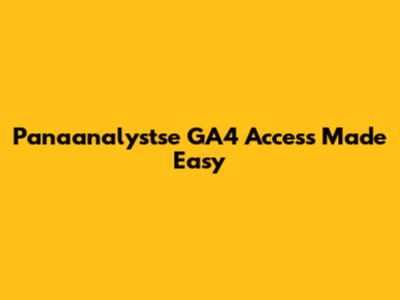 Panaanalystse GA4 Access Made Easy