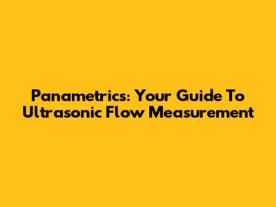 Panametrics: Your Guide To Ultrasonic Flow Measurement