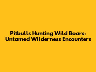 Pitbulls Hunting Wild Boars: Untamed Wilderness Encounters