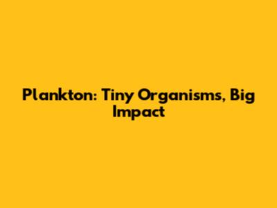 Plankton: Tiny Organisms, Big Impact