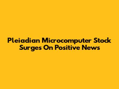 Pleiadian Microcomputer Stock Surges On Positive News