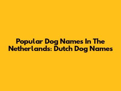 Popular Dog Names In The Netherlands: Dutch Dog Names