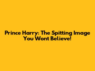 Prince Harry: The Spitting Image You Won't Believe!