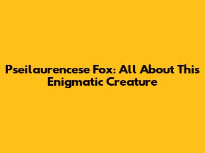 Pseilaurencese Fox: All About This Enigmatic Creature