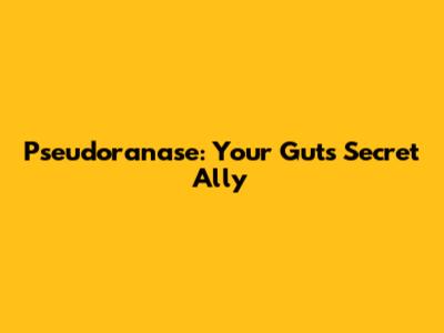 Pseudoranase: Your Gut's Secret Ally