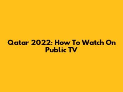 Qatar 2022: How To Watch On Public TV