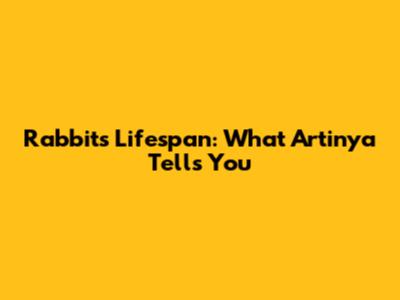 Rabbit's Lifespan: What 'Artinya' Tells You