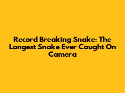 Record Breaking Snake: The Longest Snake Ever Caught On Camera