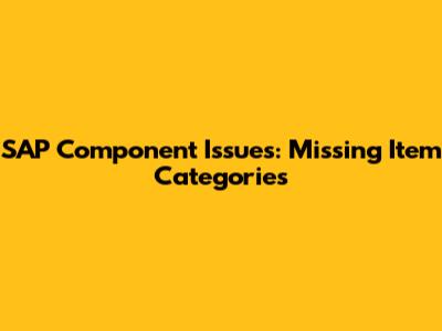 SAP Component Issues: Missing Item Categories