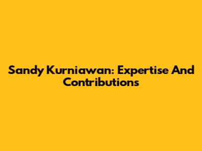 Sandy Kurniawan: Expertise And Contributions