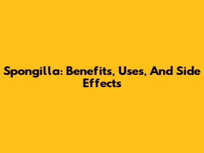 Spongilla: Benefits, Uses, And Side Effects