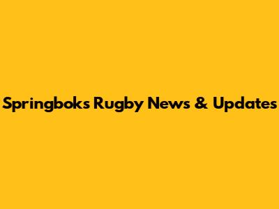 Springboks Rugby News & Updates