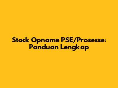 Stock Opname PSE/Prosesse: Panduan Lengkap