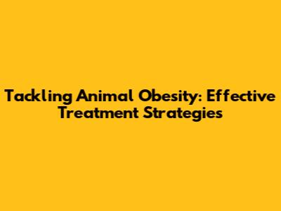 Tackling Animal Obesity: Effective Treatment Strategies