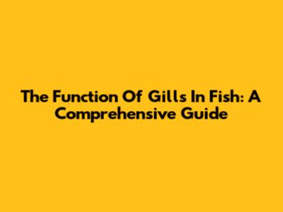 The Function Of Gills In Fish: A Comprehensive Guide