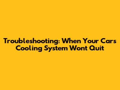 Troubleshooting: When Your Car's Cooling System Won't Quit