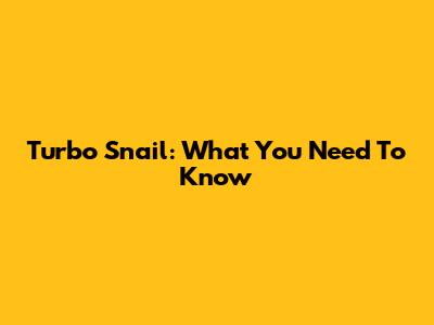 Turbo Snail: What You Need To Know