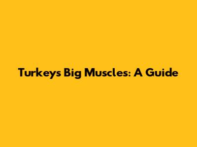 Turkey's Big Muscles: A Guide