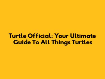Turtle Official: Your Ultimate Guide To All Things Turtles