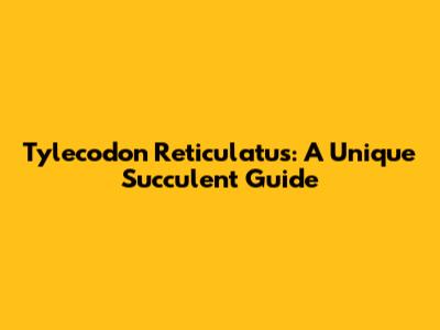Tylecodon Reticulatus: A Unique Succulent Guide