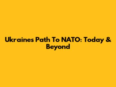 Ukraine's Path To NATO: Today & Beyond