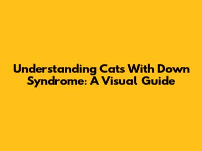 Understanding Cats With Down Syndrome: A Visual Guide