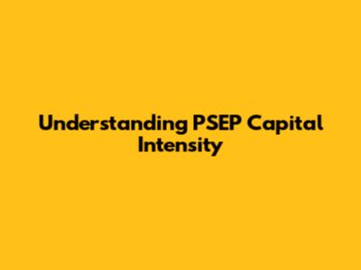 Understanding PSEP Capital Intensity