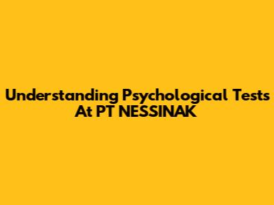 Understanding Psychological Tests At PT NESSINAK