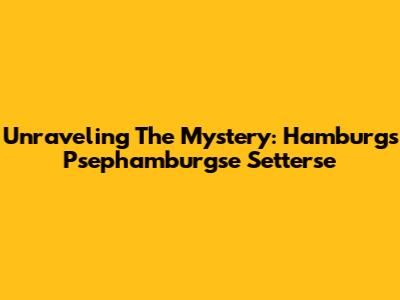 Unraveling The Mystery: Hamburg's Psephamburgse Setterse