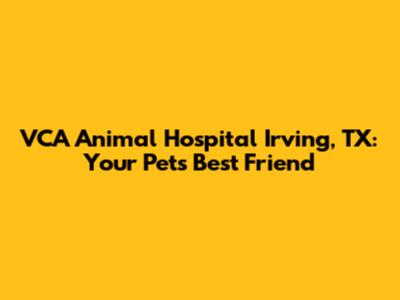 VCA Animal Hospital Irving, TX: Your Pet's Best Friend