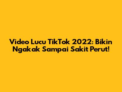 Video Lucu TikTok 2022: Bikin Ngakak Sampai Sakit Perut!