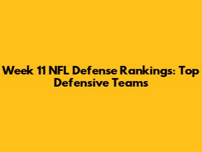 Week 11 NFL Defense Rankings: Top Defensive Teams
