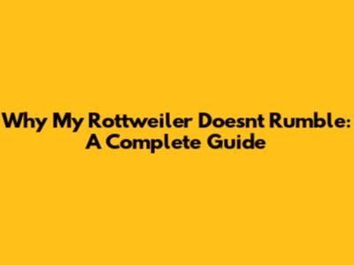 Why My Rottweiler Doesn't Rumble: A Complete Guide