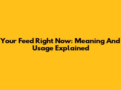 Your Feed Right Now: Meaning And Usage Explained