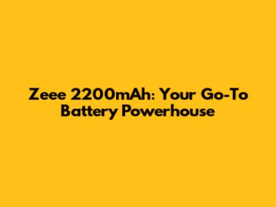Zeee 2200mAh: Your Go-To Battery Powerhouse