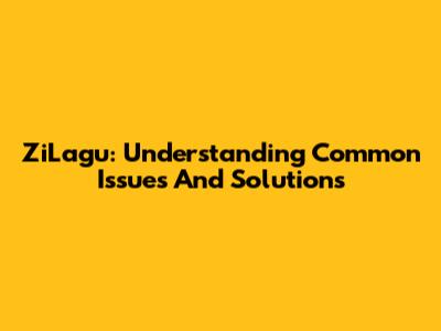 ZiLagu: Understanding Common Issues And Solutions